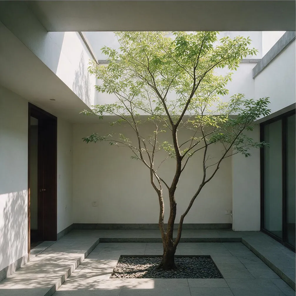 An indoor courtyard with a tree, architectural interior photography, natural light