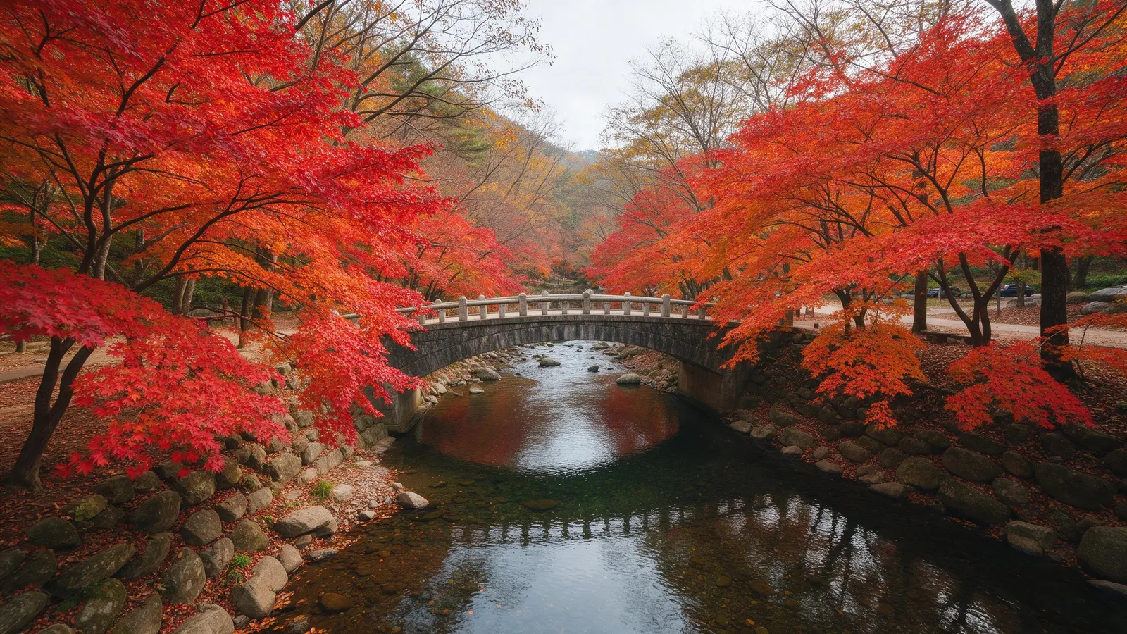 Autumn foliage at Naejangsan national park, a stone bridge over a clear stream lined with fiery red and orange maple trees, soft overcast light