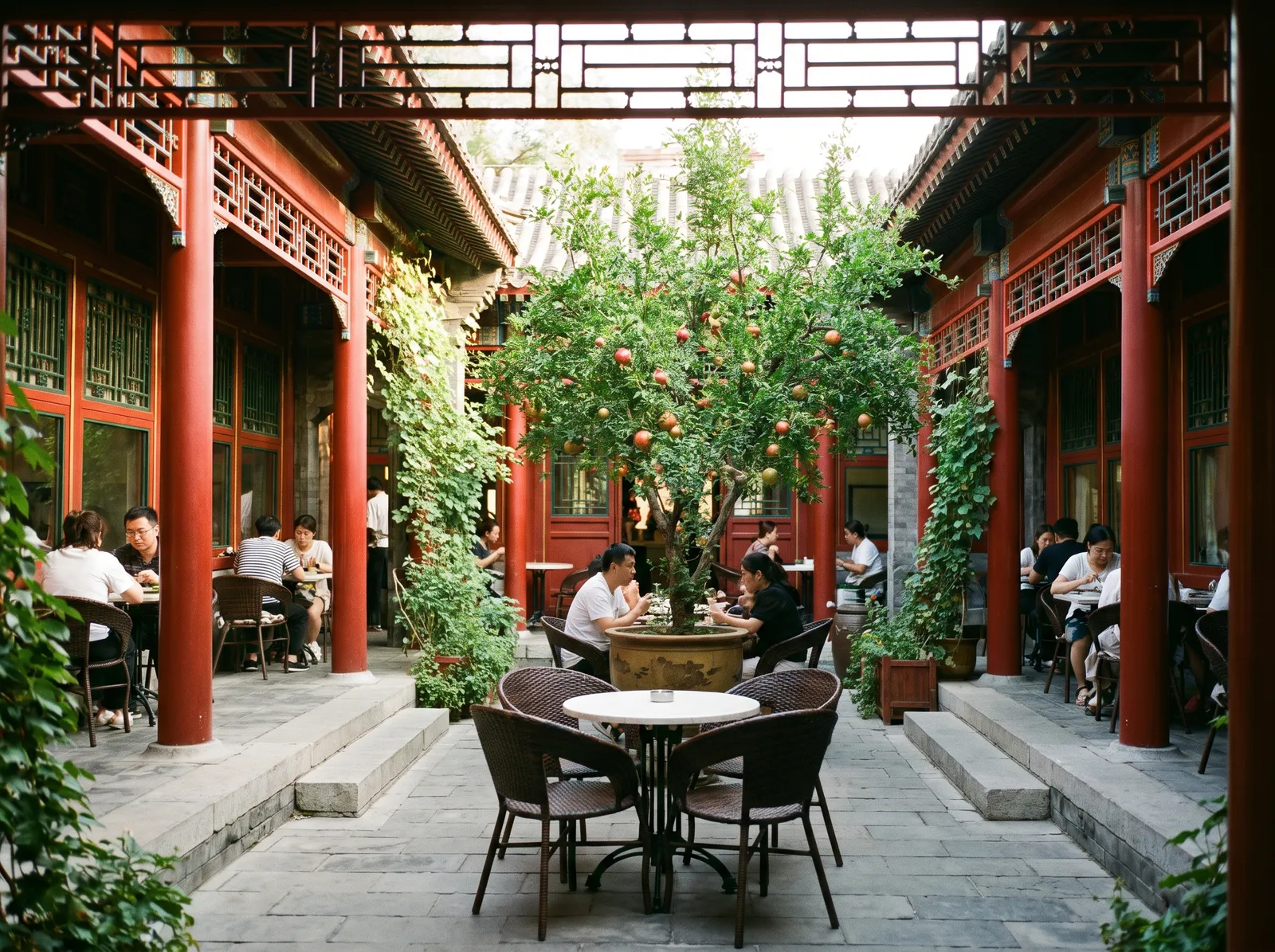Chinese courtyard house siheyuan converted into a café, red wooden columns, lattice windows, potted pomegranate tree