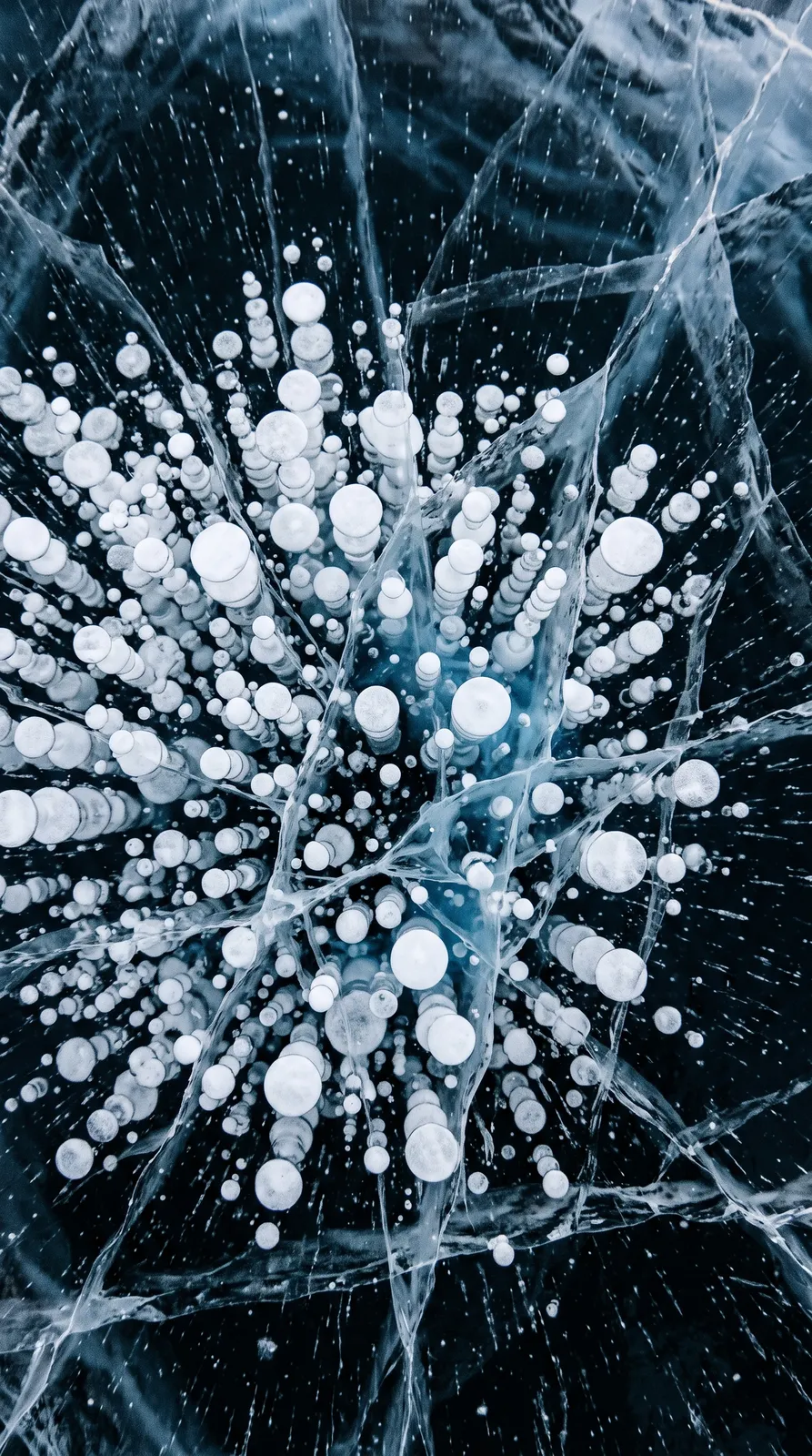 Phone wallpaper of white frozen bubbles stacked deep in clear black lake ice, a faint blue glow, fine cracks catching the light, minimal abstract winter texture