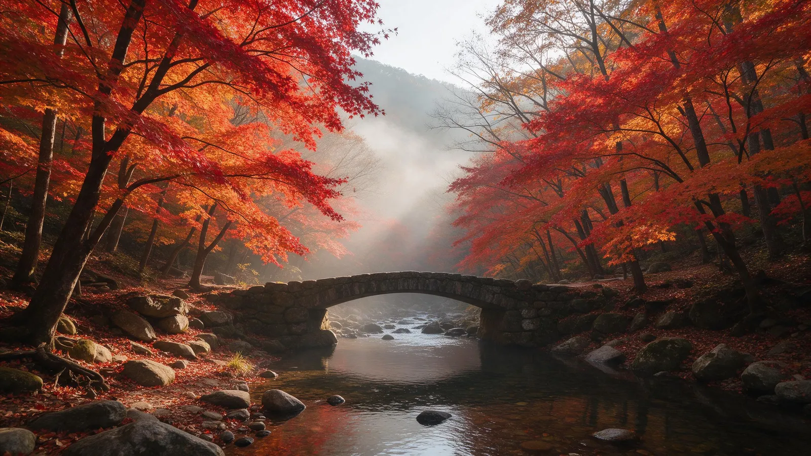 Autumn landscape: the Naejangsan valley in South Korea ablaze with red and orange maples, a small stone bridge over a clear stream, soft morning mist