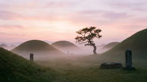 Gyeongju royal tombs at sunrise, soft grassy mounds in morning fog, a lone tree, pastel sky, serene Korean heritage land
