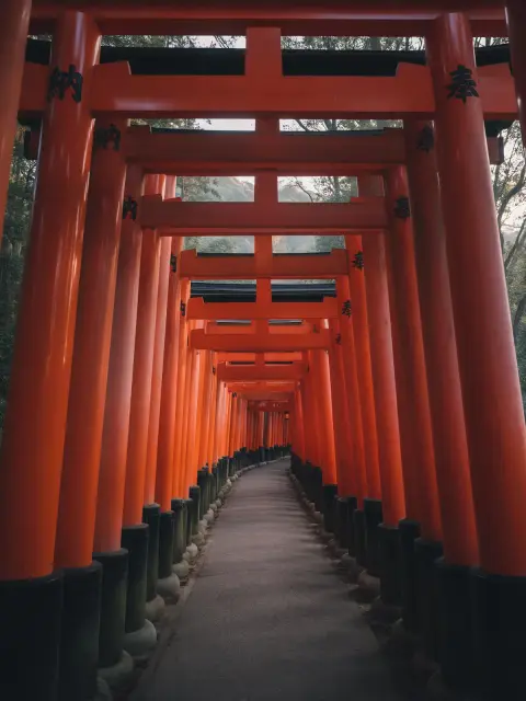 Kyoto Fushimi Inari path of thousands of vermilion torii gates in early morning, empty and quiet, soft diffused light, v