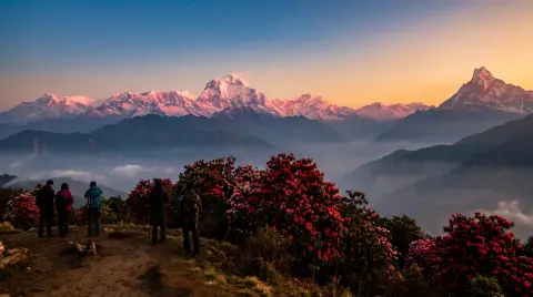 Annapurna mountains at sunrise from Poon Hill, peaks glowing pink, rhododendron in the foreground, trekkers silhouetted