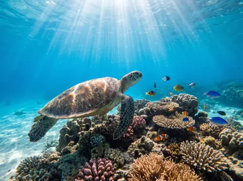 Sea turtle swimming over a coral reef in Okinawa, sunlight rays through clear blue water, peaceful underwater photograph